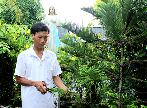 Việc trồng cây xanh trước nhà được nhiều giáo dân trong họ đạo Vịnh Chèo thực hiện.