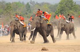 Phần thi hấp dẫn nhất là đua voi, to lớn và nặng nề nhưng khi vào cuộc thì trở nên nhanh nhẹn lạ thường. Ảnh: Ngọc Kỳ