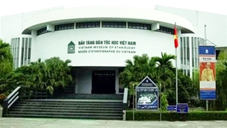 Bảo tàng cuốn hút