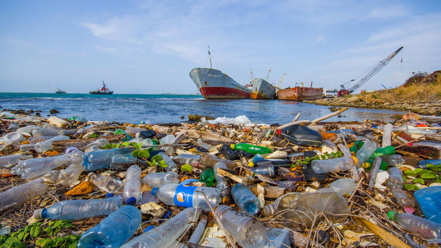 Khi bạn vứt một mẩu rác nhựa ra môi trường, nó phải mất hẳn 450 năm để tiêu hủy hoàn toàn. Ảnh: Hoàng Hải