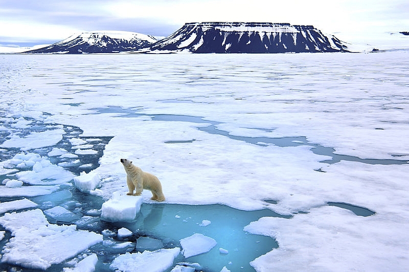 Hiệu ứng nhà kính là nguyên nhân khiến băng tan nhanh ở Bắc Cực. Ảnh: CTV