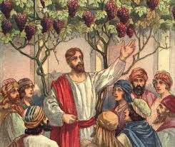 “Chúa Kitô là cây nho đích thực. Người ban sức sống vào hoa trái cho các cành là chúng ta” Ảnh: CTV