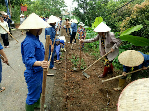 Ban công tác Mặt trận khu dân cư tổ 9 thị trấn Tân Bình (Tuyên Quang) vận động nhân dân trồng hoa hai bên đường. Ảnh: Hà Sen