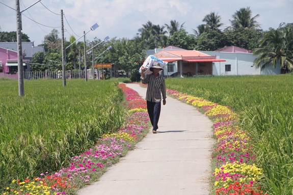:Không gian xanh- sạch- đẹp, thân thiện môi trường nơi phum, sóc đồng bào Khmer Sóc Trăng. Ảnh: BA