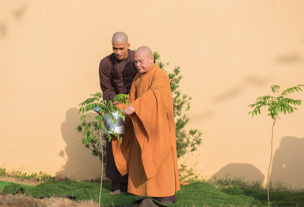 Phật giáo đề cao ý nghĩa nhân đạo đối với môi trường, tôn trọng sự sống của cả con người lẫn loài vật. AÛnh: CTV 