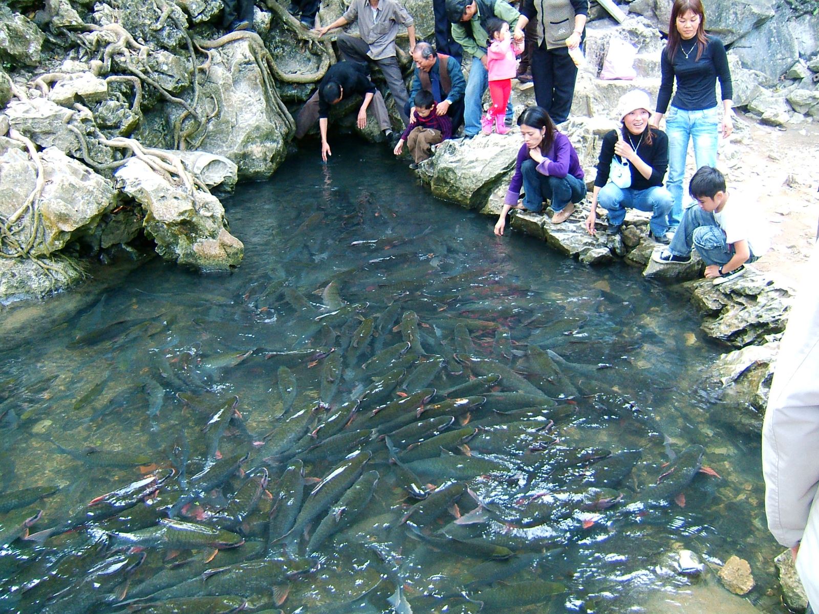 Suối cá tại xã Cẩm Lương. Ảnh: Hà Hải