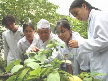 GS. Vũ Văn Chuyên nghiên cứu cây, cỏ cùng với sinh viên Y- Dược. Ảnh: CTV