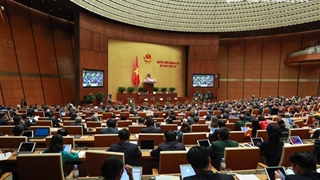 Tổng hợp ý kiến, kiến nghị của cử tri và Nhân dân gửi tới Kỳ họp thứ ba Quốc hội khóa XV