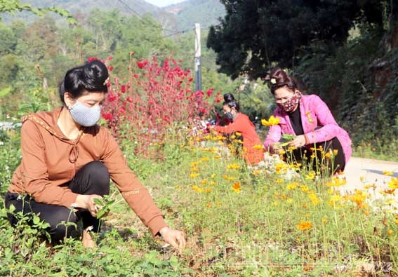 Hội viên phụ nữ bản Phiêng Lơi, xã Thanh Minh (TP. Điện Biên Phủ) chăm sóc đường hoa, giữ vệ sinh tuyến đường nội bản. 