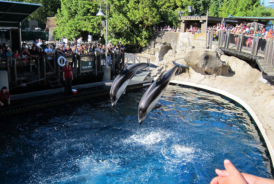 Thủy cung Aquarium Vancouver là điểm du lịch dưới nước lớn nhất và nổi tiếng nhất của Canada. 