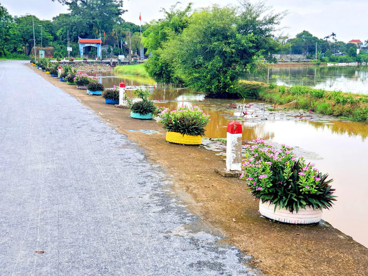 Tuyến đường hoa tại xã Cộng Hòa với những lốp xe ô tô bỏ đi được tận dụng trồng hoa.