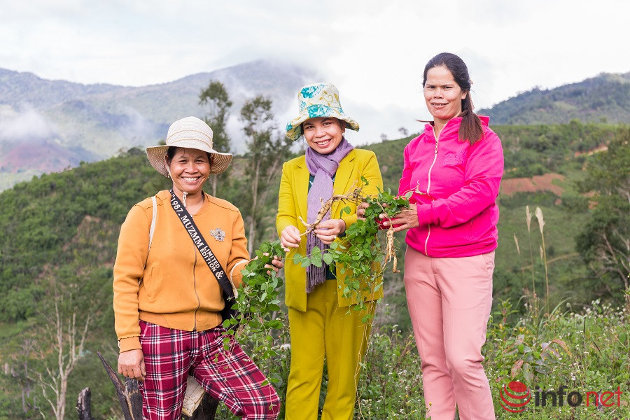 Với đặc trưng riêng của Tây Nguyên là người phụ nữ chính là chủ hộ gia đình, nên việc hỗ trợ phụ nữ phát triển kinh tế cũng chính là hỗ trợ hộ gia đình đó phát triển. 