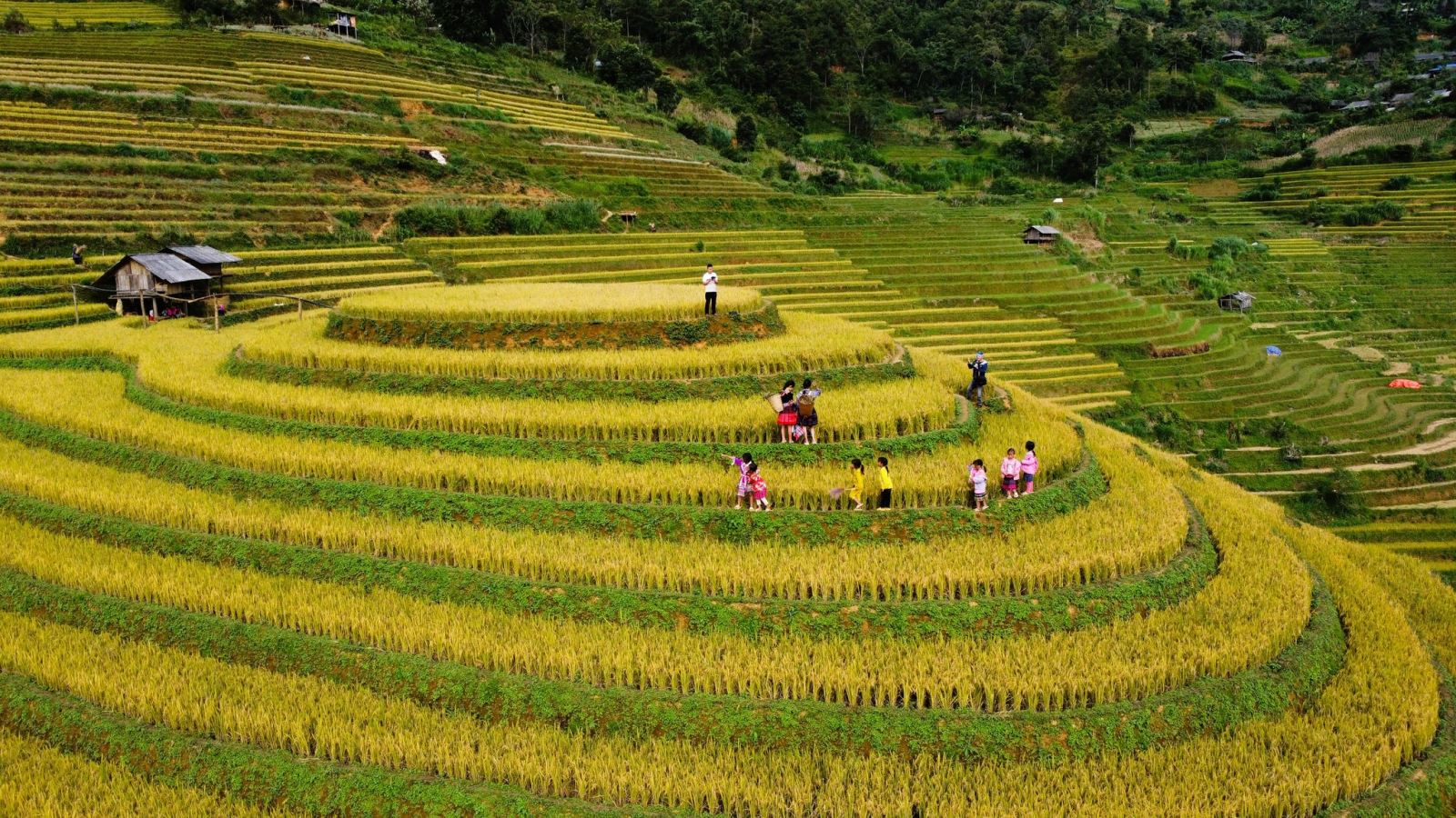 Sản xuất nông nghiệp ở vùng dân tộc thiểu số có nhiều phát triển