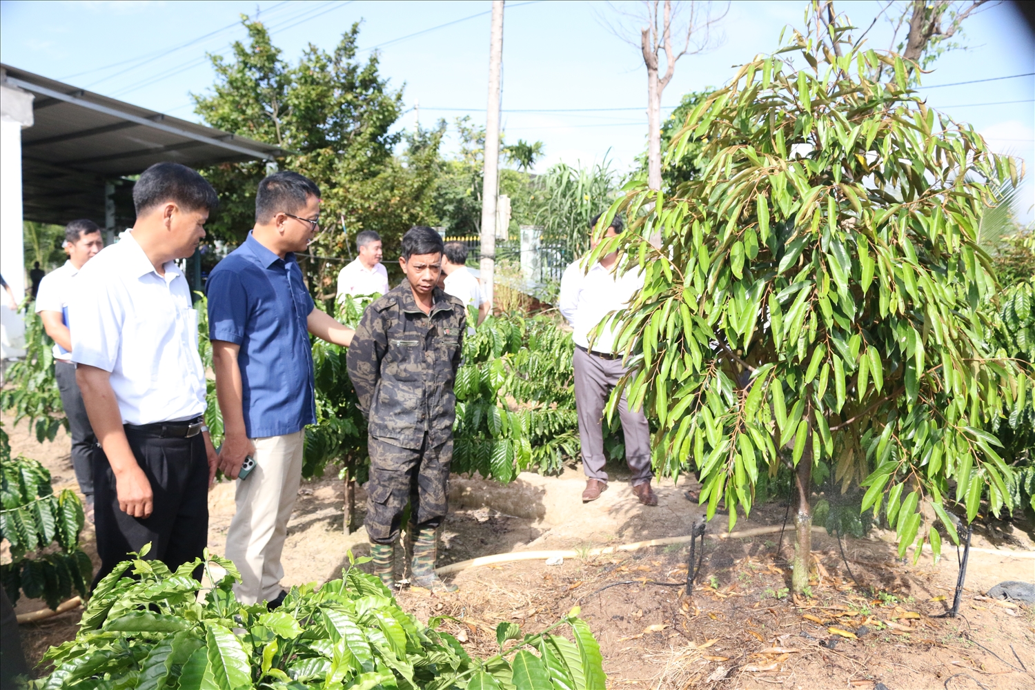 Đoàn công tác của Ủy ban Dân tộc kiểm tra mô hình hỗ trợ cây giống sầu riêng cho hộ ông A Lưới (thứ ba từ trái sang), làng Chứ, xã Ya Ly, huyện Sa Thầy