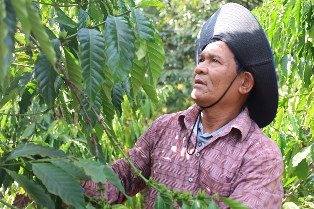 Ông Y Sót Niê- Chi hội trưởng Chi hội Người cao tuổi buôn Hô, Người có uy tín tại buôn Hô (xã Ea Hồ- huyện Krông Năng- tỉnh Đắk Lắk)