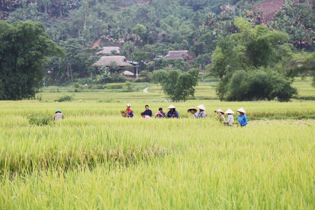 Cá nhân là người dân tộc thiểu số thuộc diện hộ nghèo, hộ cận nghèo tại vùng đồng bào dân tộc thiểu số và miền núi tỉnh Lào Caikhông có đất nông nghiệp được hỗ trợ giao đất nông nghiệp và không phải nộp tiền sử dụng đất