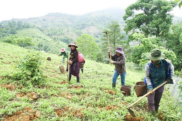 đảm bảo đất sản xuất cho các hộ gia điình đồng bào dân tộc thiểu số là một trong những điều kiện để giảm nghèo