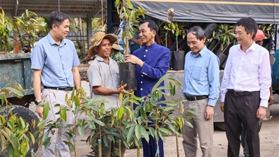 Nồng nàn tình yêu biên cương Tổ quốc