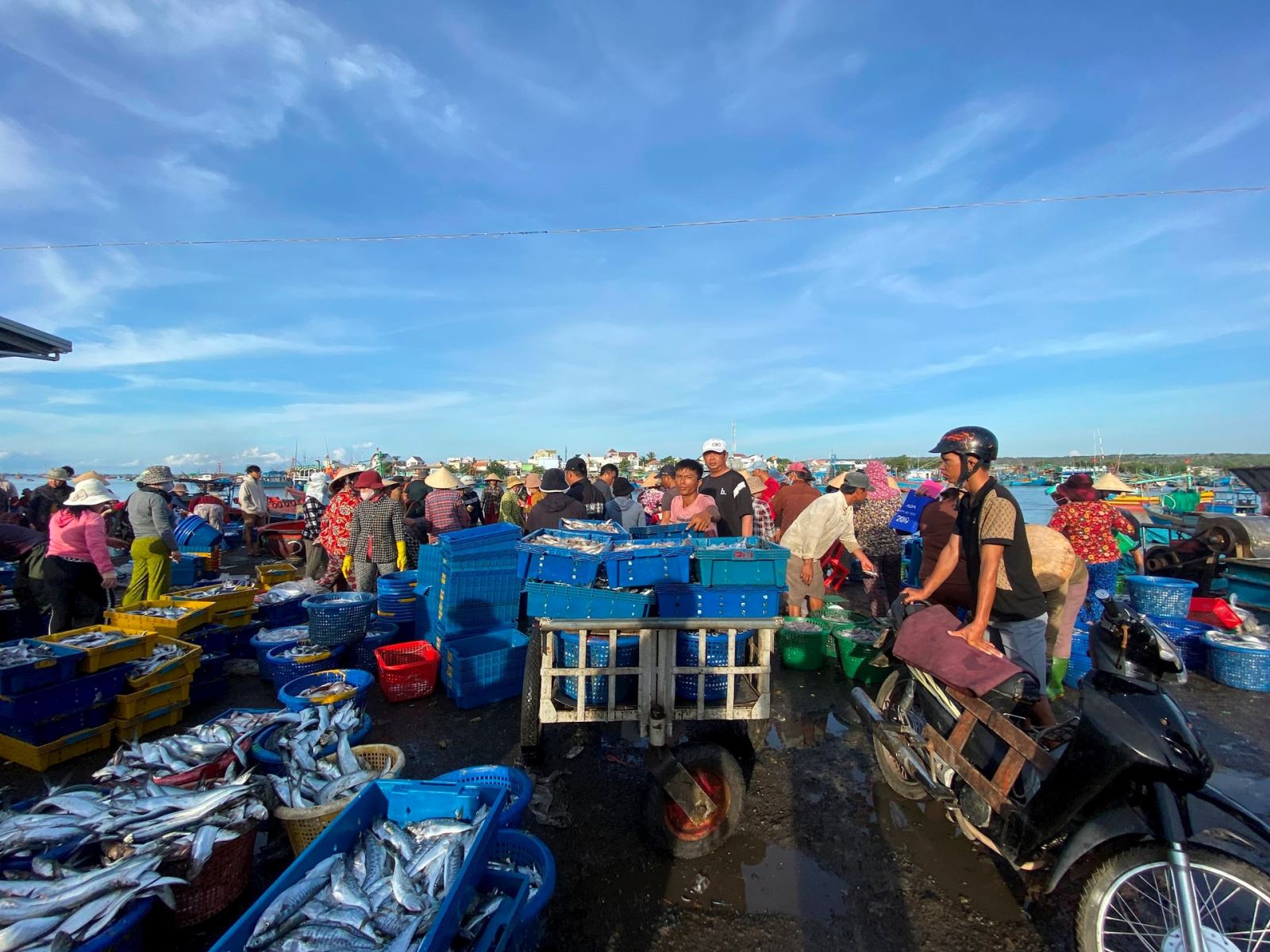 Mua bán trên bến cảng Phan Rí.