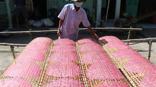 Vĩnh Long nỗ lực giải ngân kinh phí Chương trình Mục tiêu quốc gia 1719