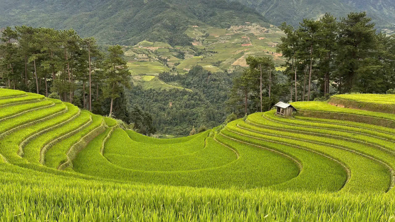 Ruộng bậc thang ở Tây Bắc là một trong những sản phẩm du lịch hấp dẫn du khách trong và ngoài nước. Ảnh: P. Sỹ.