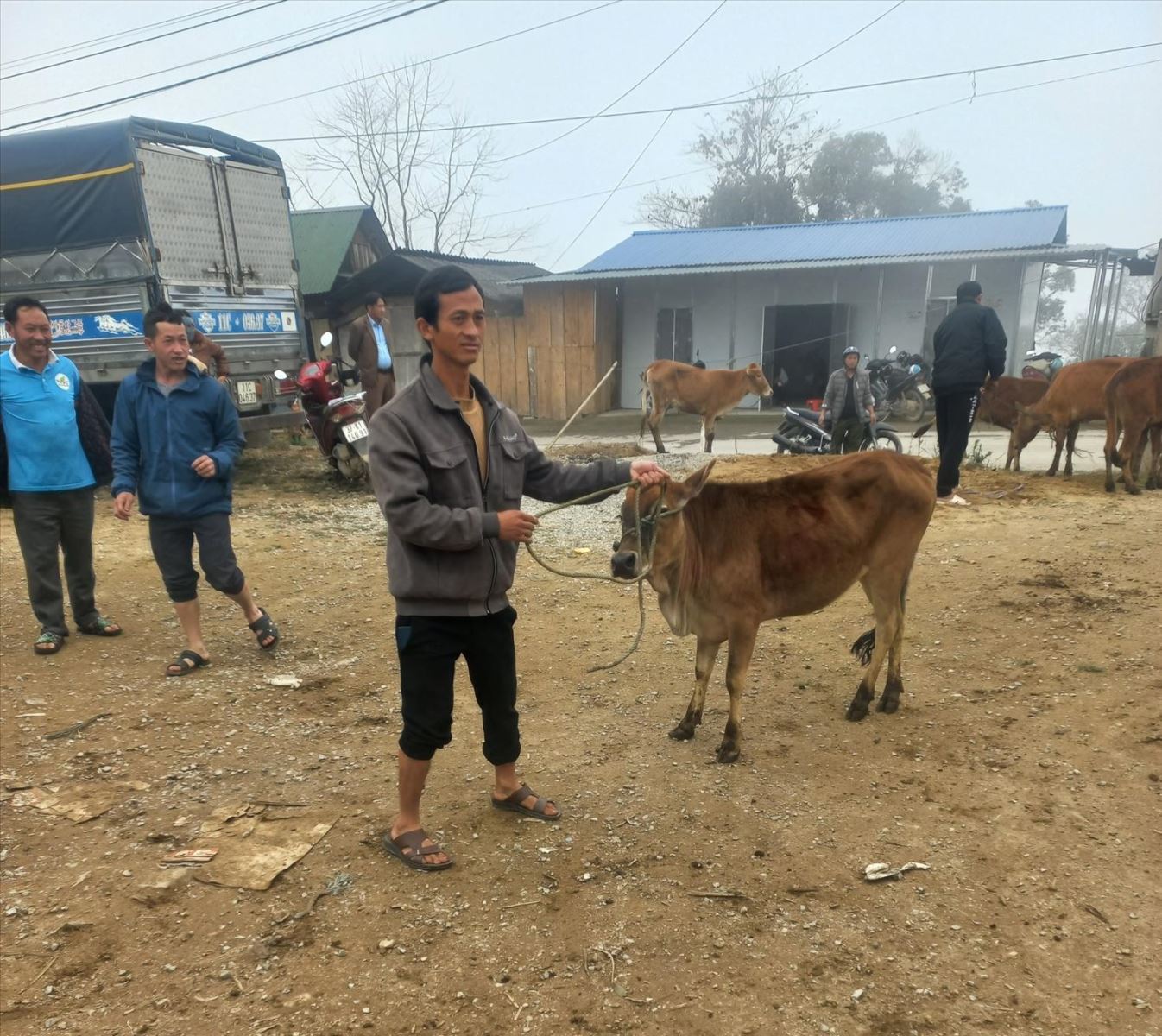 Việc hỗ trợ con giống đã là điều kiện để người dân vùng miền núi Nghệ An có thêm sinh kế để mơ giấc mơ thoát nghèo 