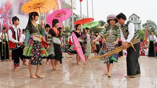 Kiểm tra, giám sát, đánh giá thực hiện Dự án 6 thuộc Chương trình 1719