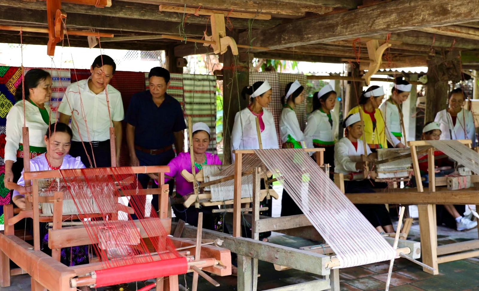 Chương trình Mục tiêu quốc gia 1719 đang hỗ trợ phát triển kinh tế tại vùng đồng bào dân tộc thiểu số tỉnh Phú Thọ