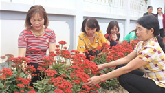 Lan tỏa phong trào “5 có, 3 sạch”