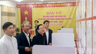 Hưng Yên: Cử tri Tòa Giám mục Thái Bình hăng hái đi bầu cử