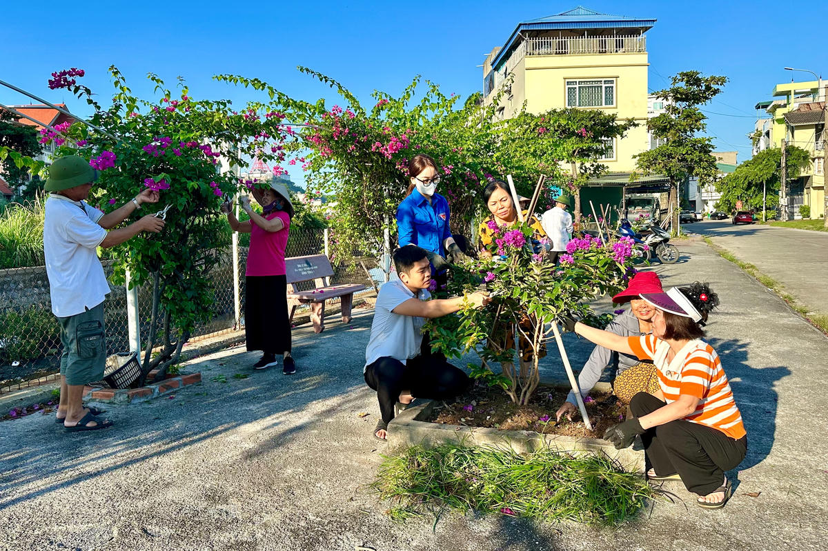 Người dân khu phố 8 (phường Cao Xanh, tỉnh Quảng Ninh) chăm sóc tuyến đường hoa Phạm Ngọc Thạch. Ảnh: Ngọc Anh.