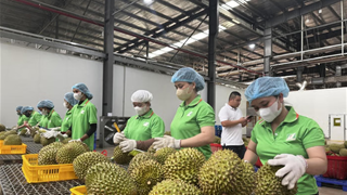Đẩy mạnh triển khai hệ thống truy xuất nguồn gốc nông sản