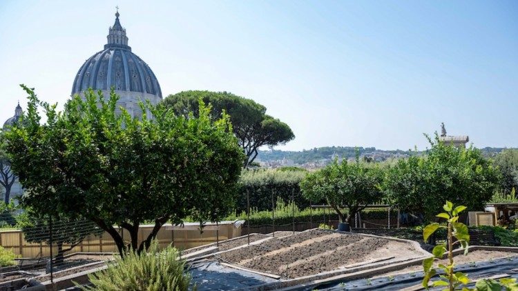 Một góc vườn của đan viện Mater Ecclesiae tại Vatican. 