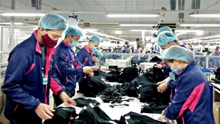 Tăng lương tối thiểu vùng năm 2027: Cân bằng lợi ích người lao động và doanh nghiệp