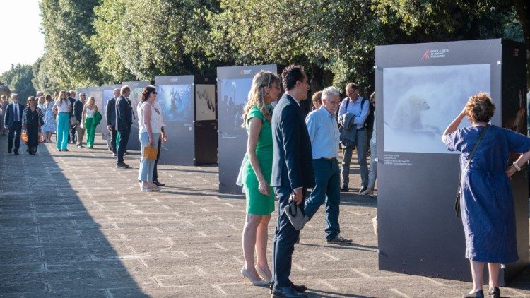 Triển lãm tại Borgo Laudato si. (cem)